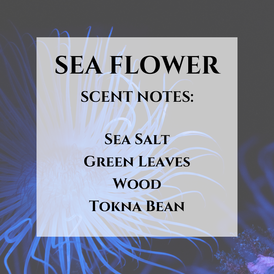 Sea Flower Soy Wax Candle