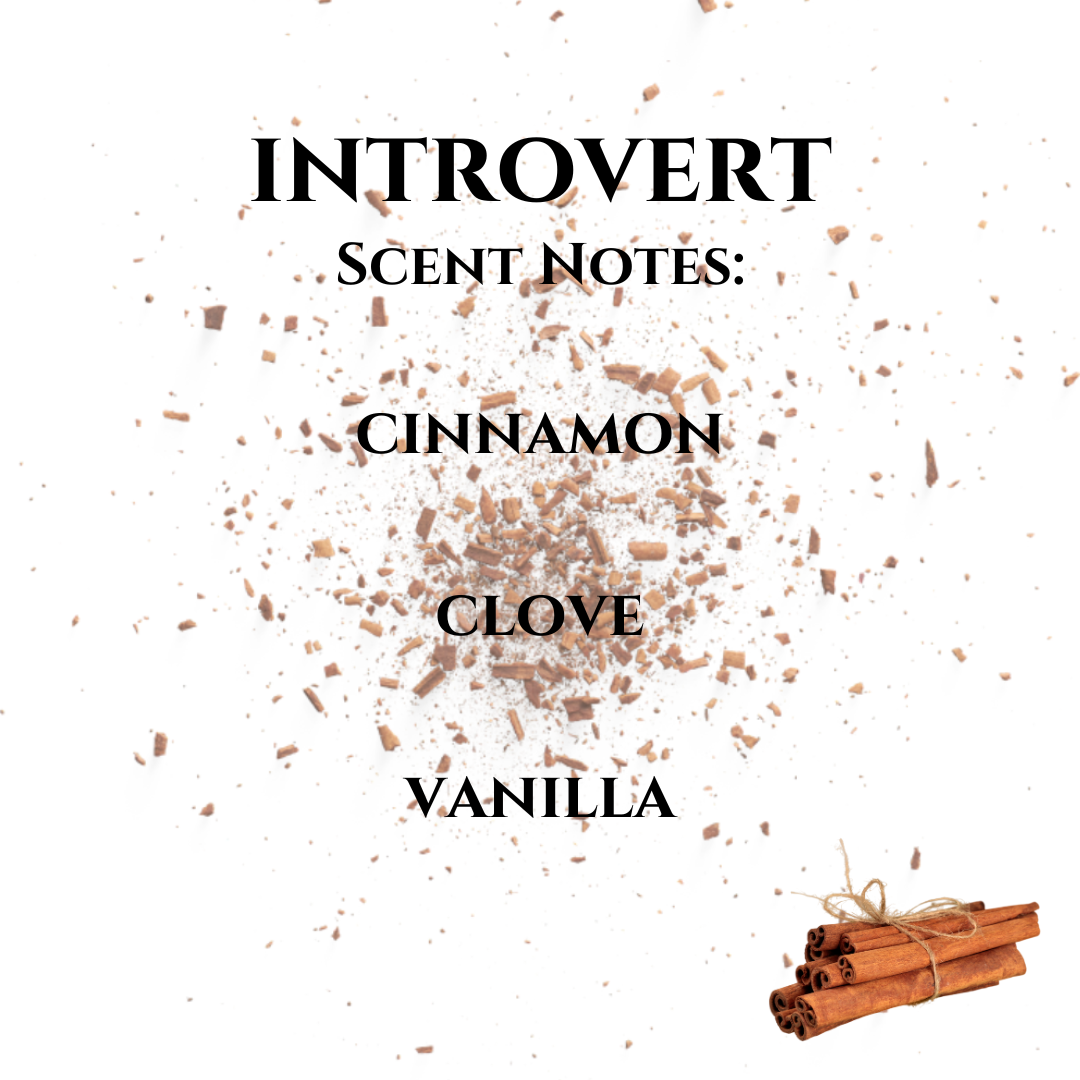 Introvert Soy Wax Melt