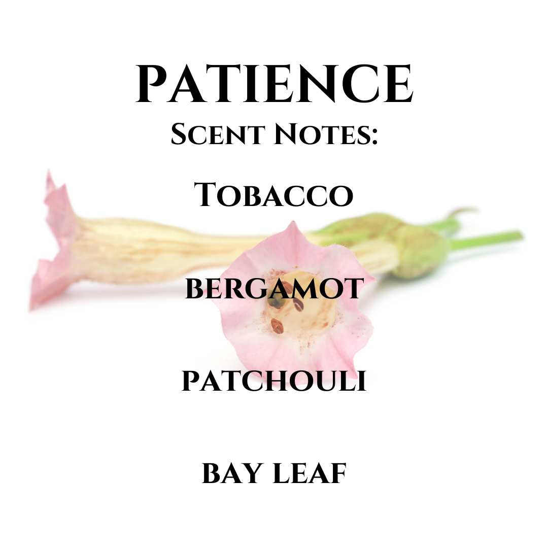Patience Soy Wax Melt